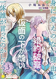 身に覚えのない理由で婚約破棄されましたけれど、仮面の下が醜いだなんて、一体誰が言ったのかしら？ raw 第01-03巻