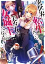 [Novel] 異世界に転生したら美少女で女城主だった。 [Isekai ni Tensei Shitara Bishojo de Onnajoshu Datta]