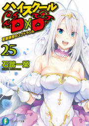 [Novel] ハイスクールD×D raw 第01-25巻 [High School D×D vol 01-25]