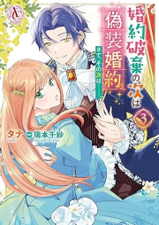 婚約破棄の次は偽装婚約。さて、その次は……。 raw 第01-04巻 [Kon’yaku haki no tsugi wa giso kon’yaku sate sono tsugi wa vol 01-04]