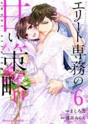 エリート専務の甘い策略 raw 第01-06巻 [Erito Senmu no Amai Sakuryaku vl 01-06]