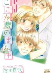 ここが愛のまん中 raw 第01-05巻 [Koko ga Ai no Mannaka vol 01-05]