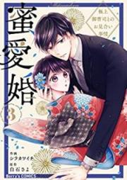 蜜愛婚～極上御曹司とのお見合い事情～ raw 第01-03巻 [Mitsuaikon Gokujo Onzoshi Tono Omiai Jijo vol 01-03]